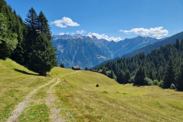 Blühende Alpwiesen und Hochmoore am Lukmanier