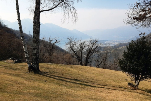 Contra - Monti di Motti - Tenero