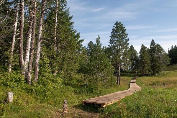 Fürstein Rundwanderung