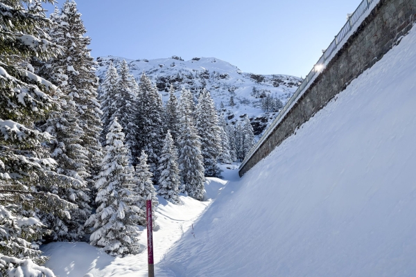 Sortie aisée sur la pittoresque Mettmenalp