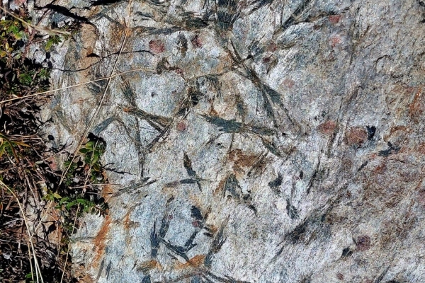 Lago di Cadagno im Val Piora
