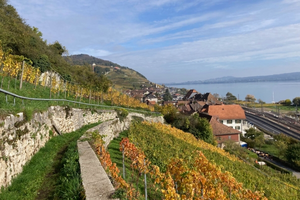 Durch die Twannbachschlucht am Bielersee