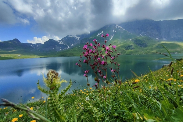 Bergfrühling auf Melchsee Frutt