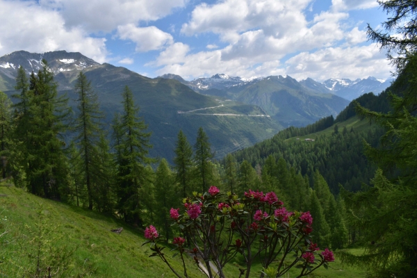 Strada degli Alpi Bedretto
