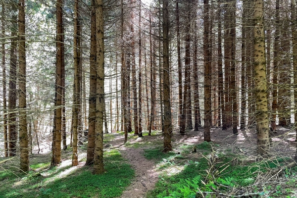 Attraverso i borghi montani del Surselva