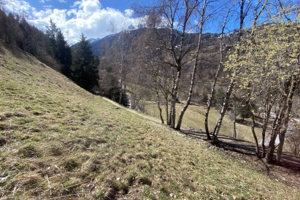 R12: Arvillard - Baar - Brignon - Beuson - Misériez - Pravidondaz - Turin