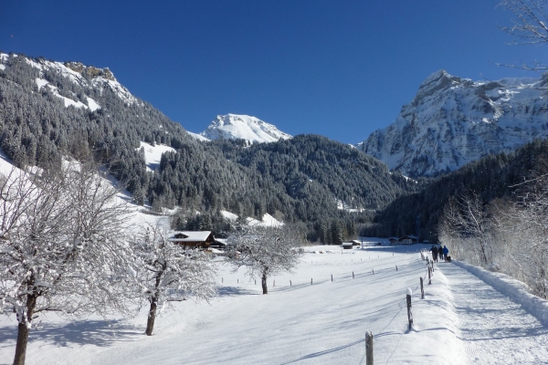 Ohne Steigung zu den Simmenfällen