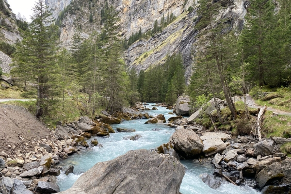 Wundersames Pflanzenreich