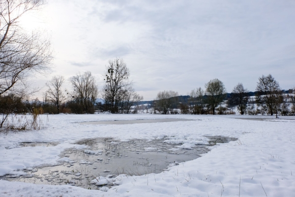 Douceur près du lac de Baldegg