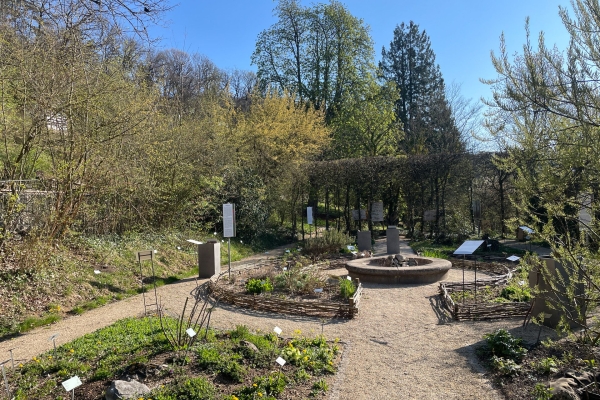 Rund um Neuenburg in die Natur eintauchen