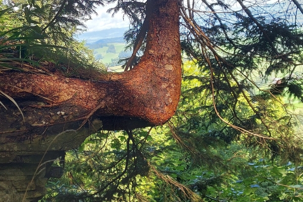 Von Wyssachen nach Dürrenroth im Emmental