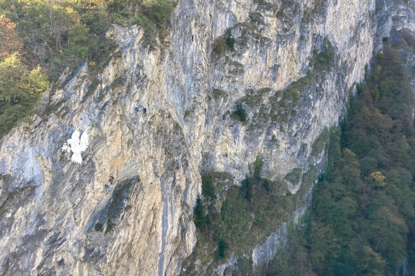 Durch Rebberge und über eine Hängebrücke