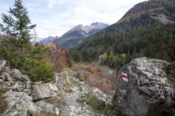 Les sgraffites de la Basse-Engadine
