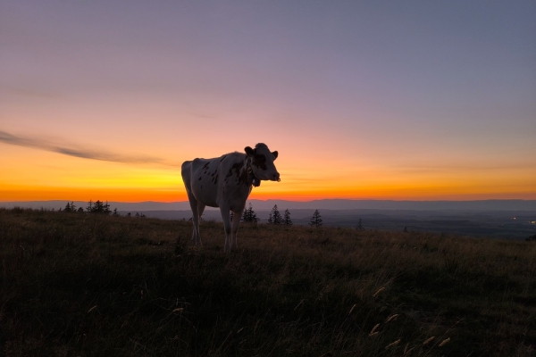 32. Les 12 heures de randonnée nocturne