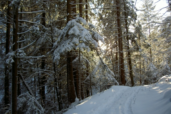 Schwarzenbühl (2. Durchführung)