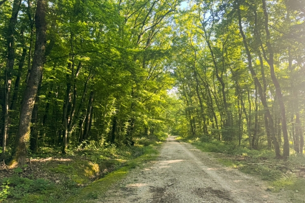 Côté nature et côté ville