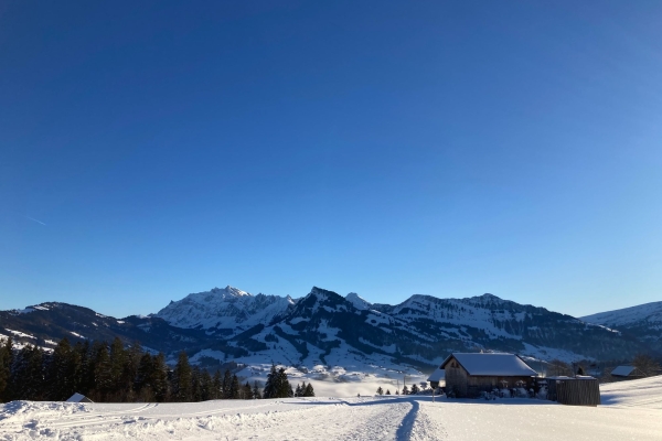 Mit den Schneeschuhen zur Wolzenalp