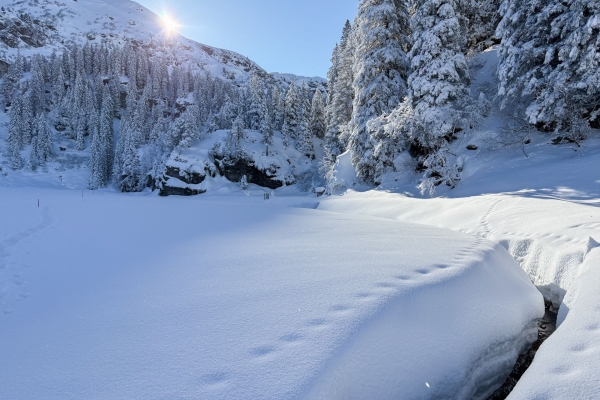 Sortie aisée sur la pittoresque Mettmenalp
