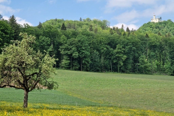Schritt für Schritt um den Kanton Aargau-Etappe 1