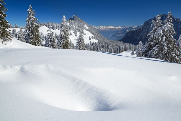 Glarner Gipfel zwischen Alpen und Voralpen