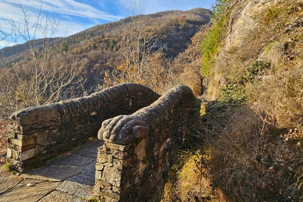 Sentore di primavera sopra le Terre di Pedemonte.