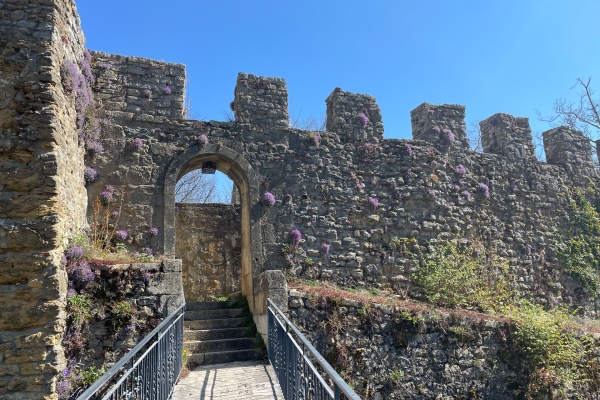 Rund um Neuenburg in die Natur eintauchen