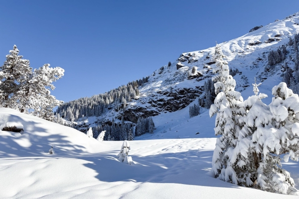 Leichte Schneeschuhwanderung durchs Wildschutzgebiet