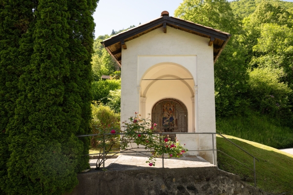 Un bosco rigoglioso e una cascata nel Malcantone