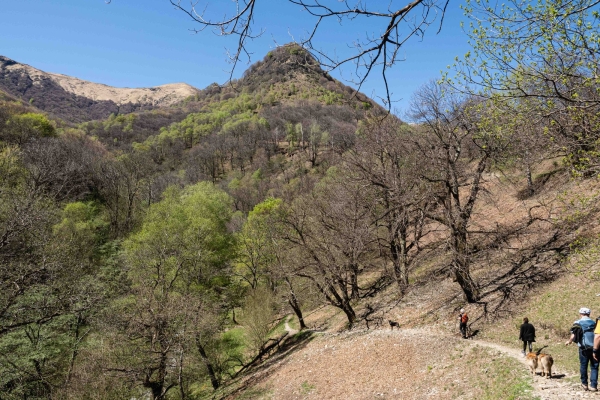 Une rando, quatre châtaigneraies au Tessin