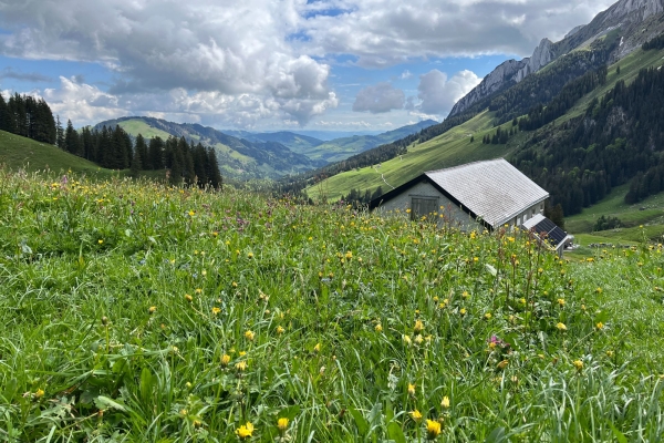 Über den Risipass zur Schwägalp (Mehrjahrestour Teil 3)