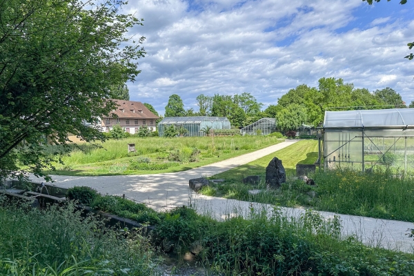 Sentiero in fiore al canale di St. Alban