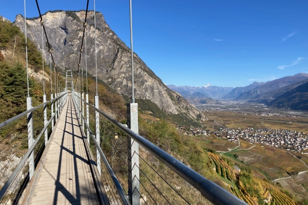 Durch Rebberge und über eine Hängebrücke