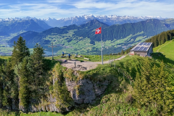 Orchideen auf dem Weg zum Wildspitz