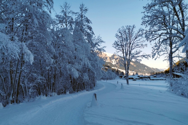 Ohne Steigung zu den Simmenfällen
