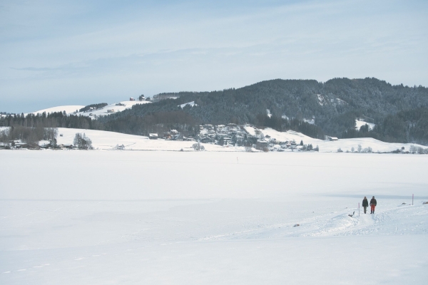 SWW_Winter_2021_2151187