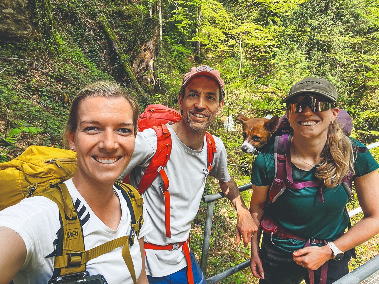 Edito rk mit Wanderblondies