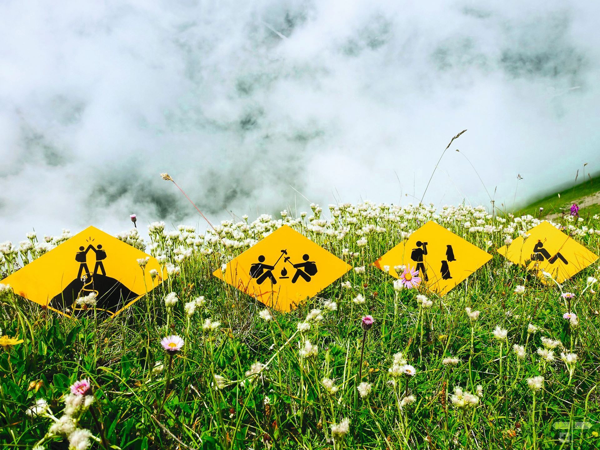 225048023_4194213020658517_4683654962113560443_n