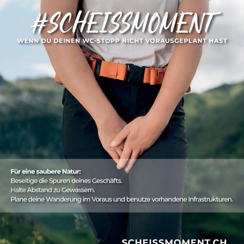 posetapeche_affiche_A3_FR