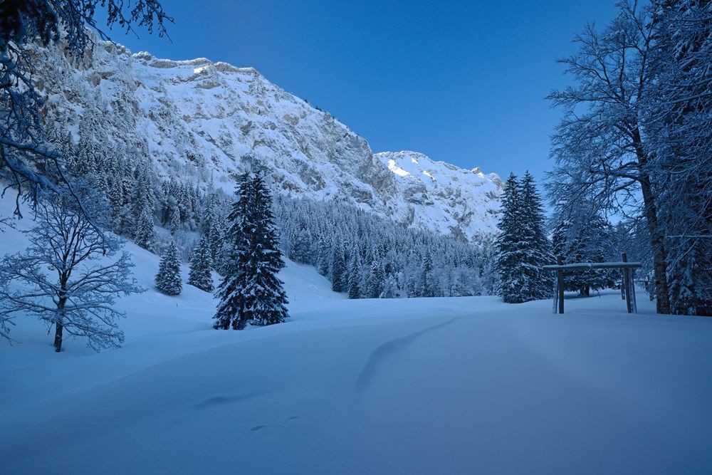 Schattig ist es am Anfang, dafür länger schneesicher.