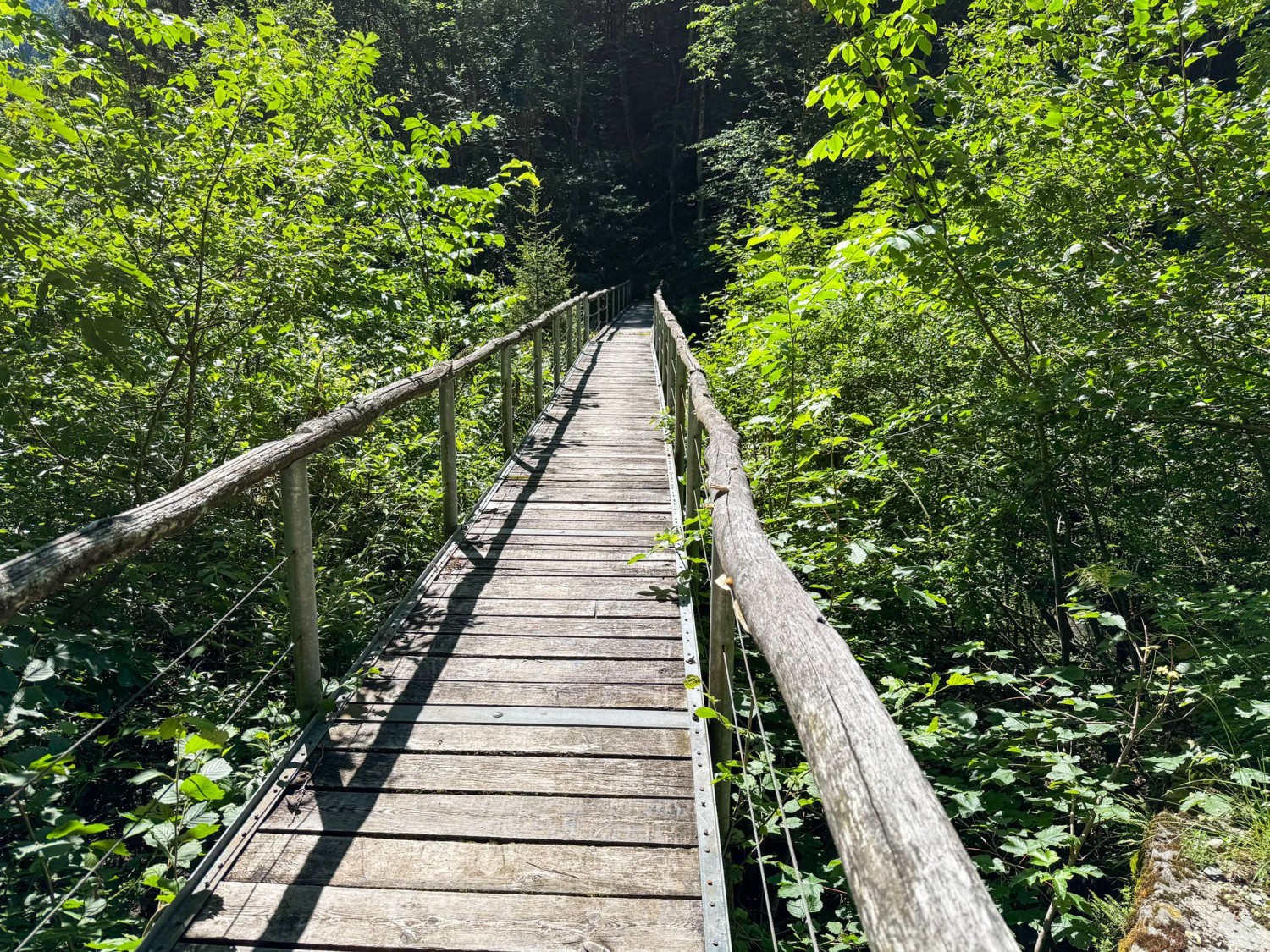 Un pont de bois franchit la Rovana di Campo.