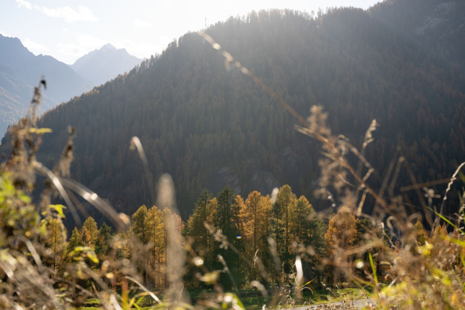 Panoramaschleife oberhalb von Ramosch
