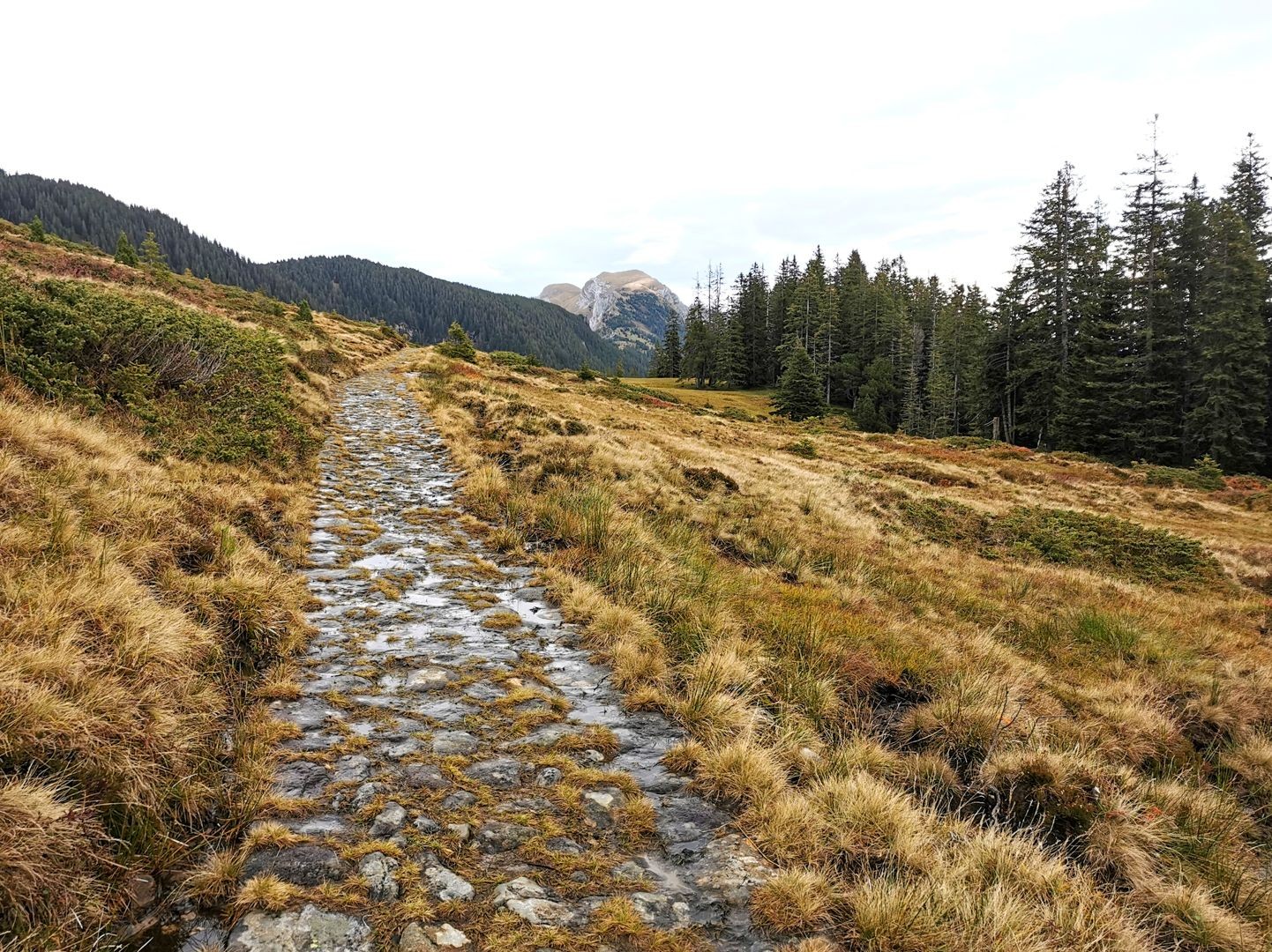 Auf historischem Weg am Pilatus