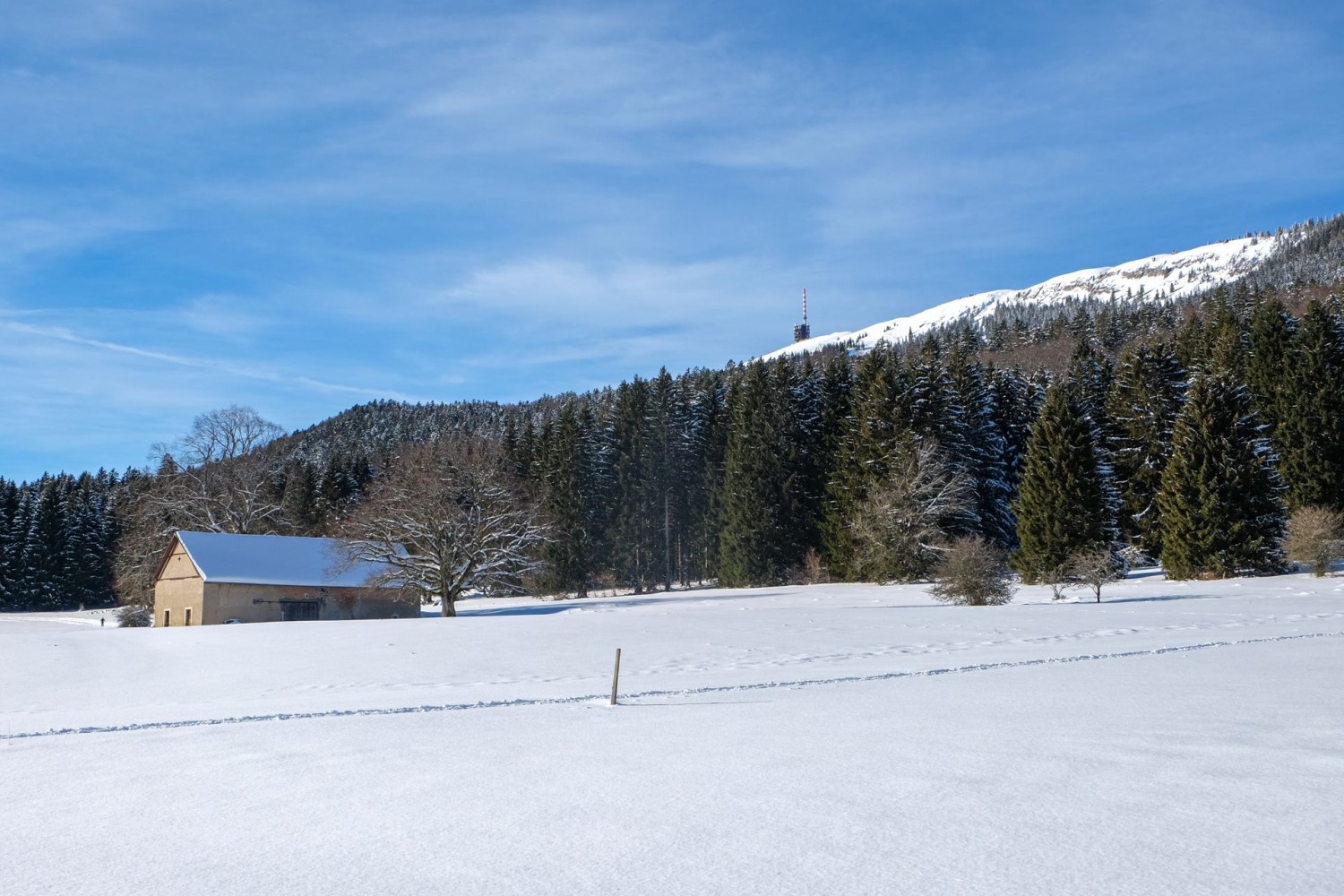 Der Gipfel des Chasserals ist nicht weit weg.