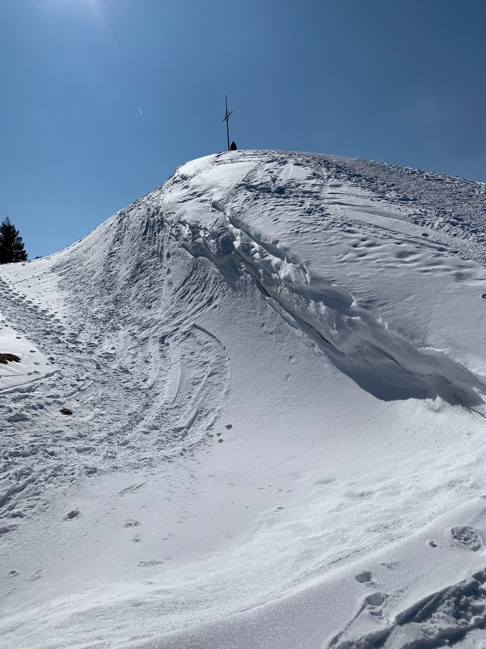 Foto: M. Grossrieder