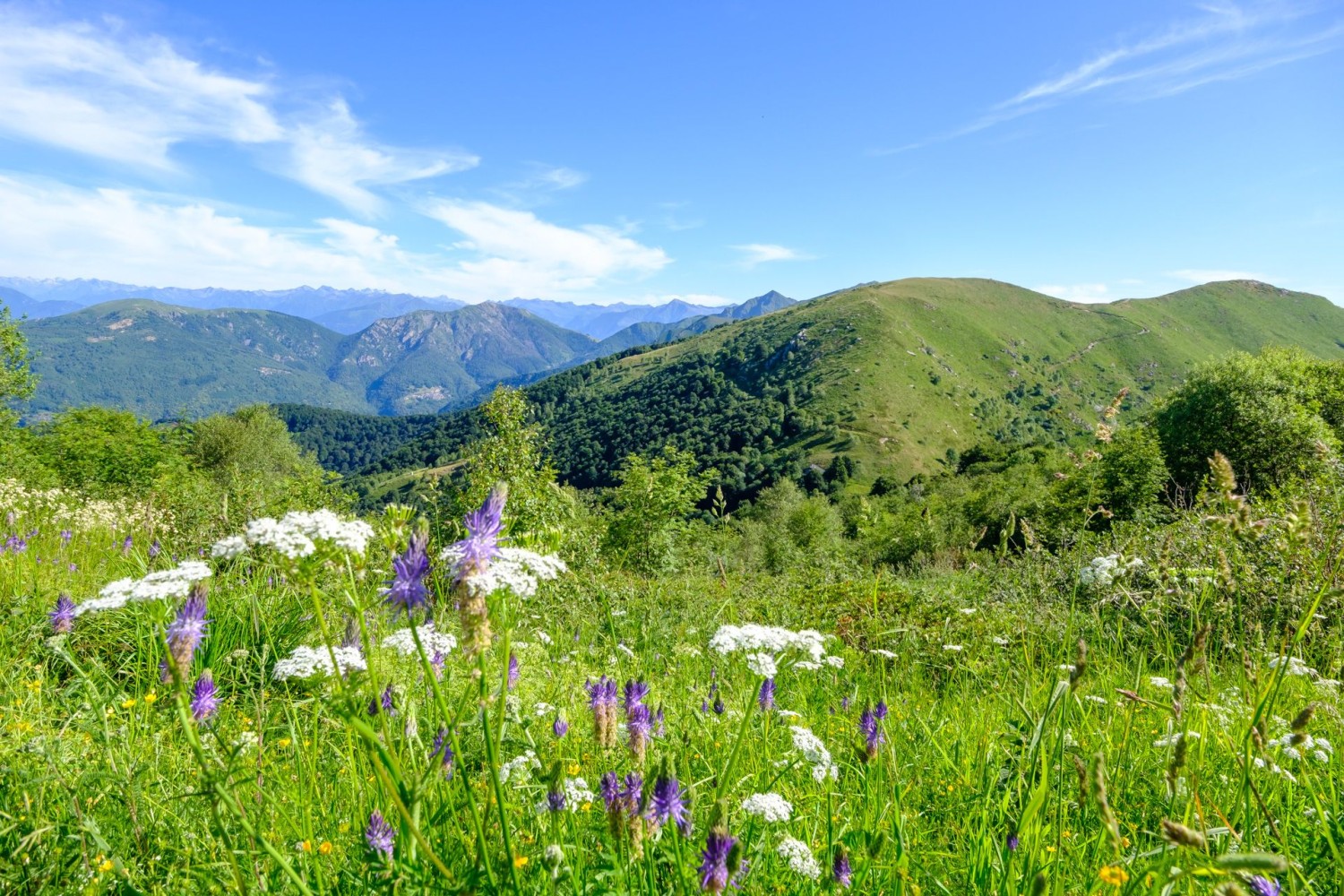 Frühmorgens fällt der Blick nochmals zurück über den Grat der ersten Etappe.