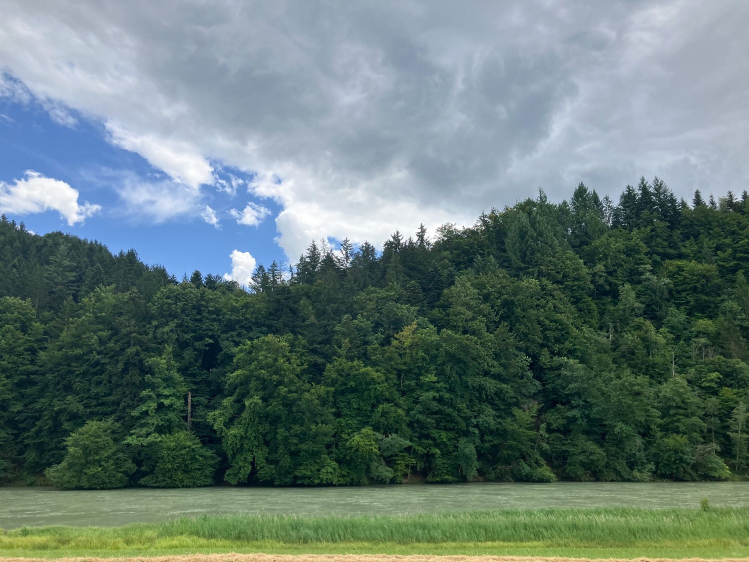 Randonnée détendue et verdoyante