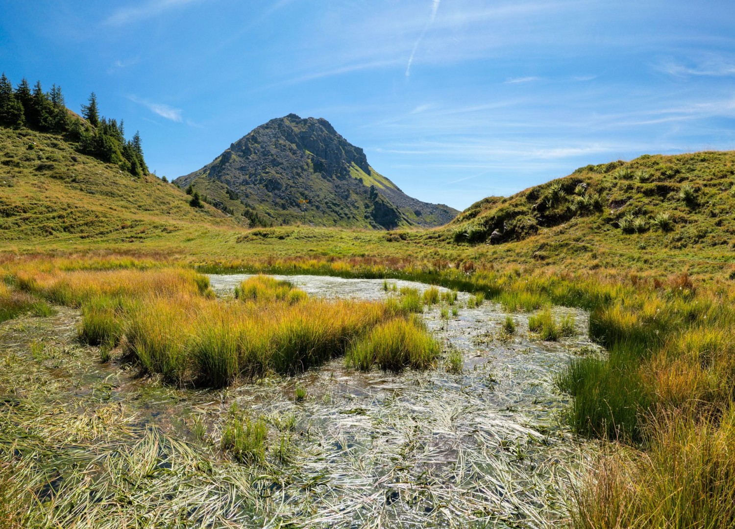 Cet étang a sans doute donné son nom au Seebödeli. En arrière-plan, un contrefort du Gandstock.