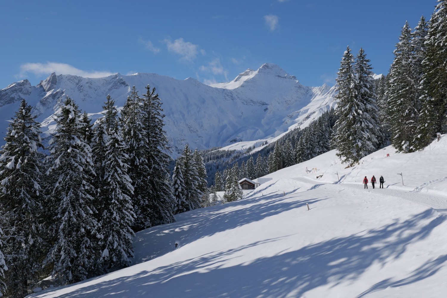 Kurz nach dem Start bei Ämpächli, hinten der Hausstock.