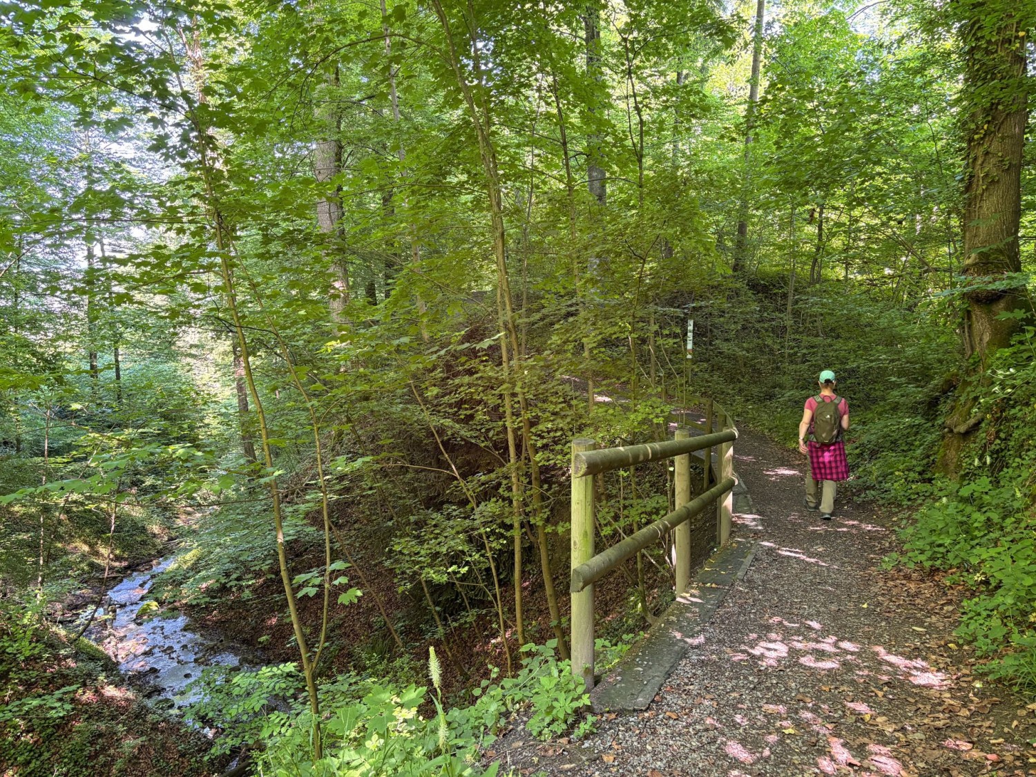 Le chemin continue à l’ombre, avec le clapotis du Drälikerbach en fond sonore.