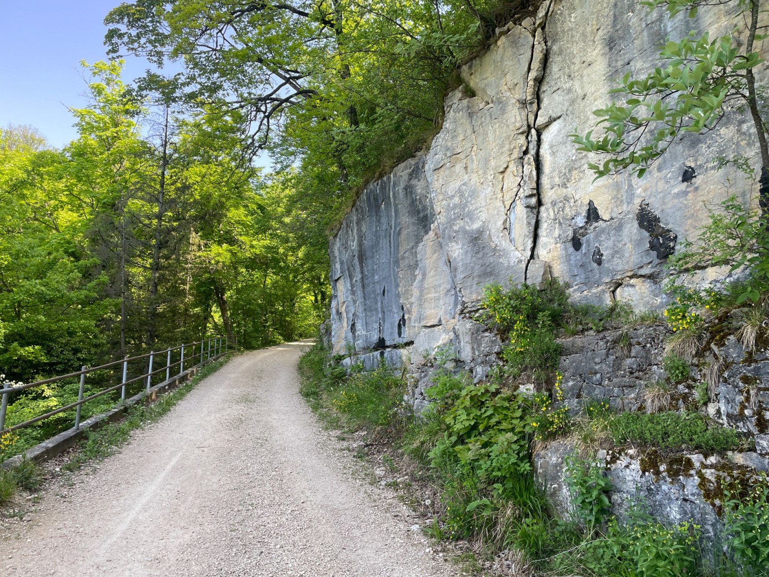 Vorbei an Felswänden geht es Richtung Schönmatt.
